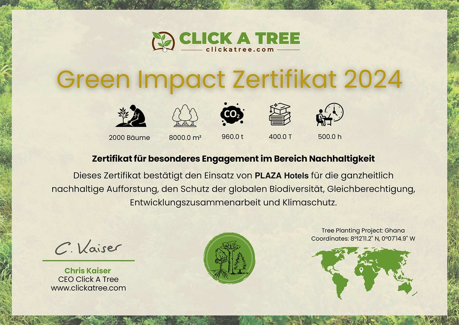 Konkrete nachhaltige Initiativen